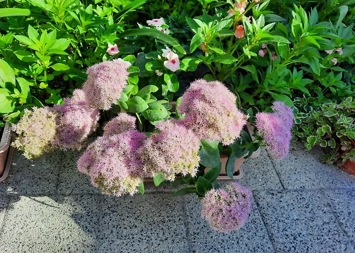 Luxury Marina View Apartment